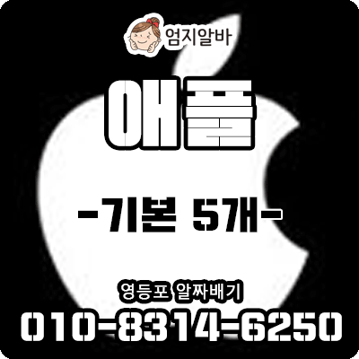 애플-룸알바