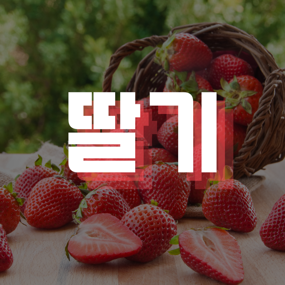 시흥 정왕 노래방 가라오케 - ♡ 2 0 3 0 전 문 ♡