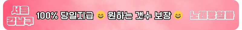 강남구 노래방알바