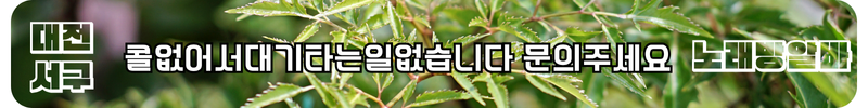 대전 서구 노래방알바