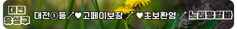 유성구 노래방알바