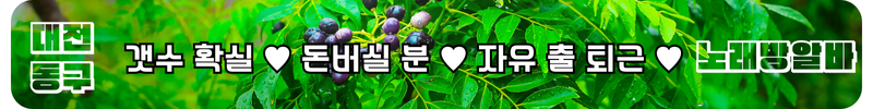 대전 동구 노래방알바