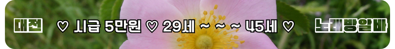 대전 노래방알바