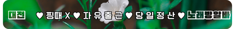 대전 노래방알바