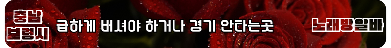 보령 노래방알바
