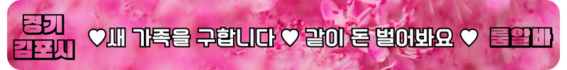김포시 룸알바