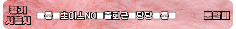 시흥시 룸알바