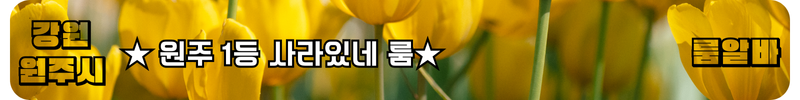 원주 룸알바